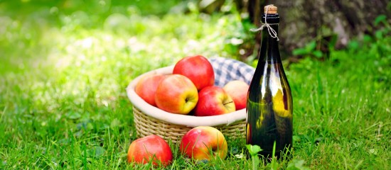 Arboriculture : aide à la plantation de pommiers à cidre