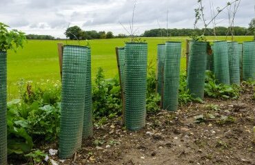 Exploitants agricoles : hausse du montant de plusieurs aides Pac au titre de 2025