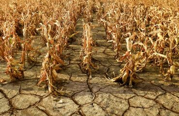 Déduction pour épargne de précaution : les plafonds 2026