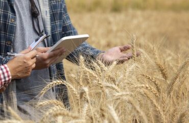 Non-salariés agricoles : des cotisations dues pour une année entière